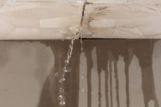 Professional Structural Drying technician working in Cloverdale, OH